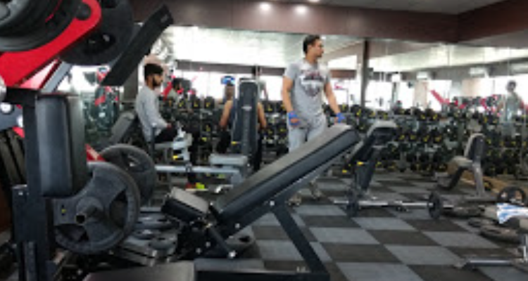 Stallon Gym