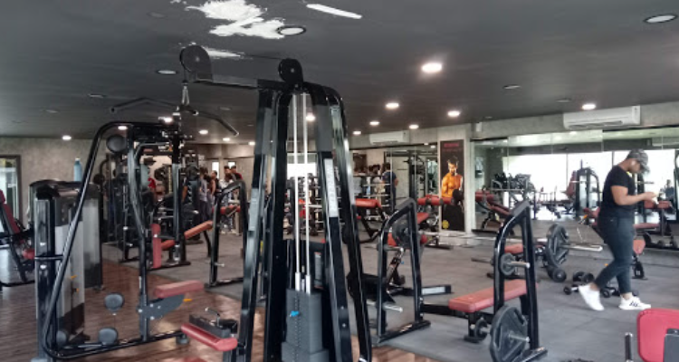 Stallon Gym