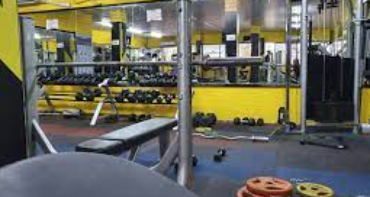 Muscle Freak Gym