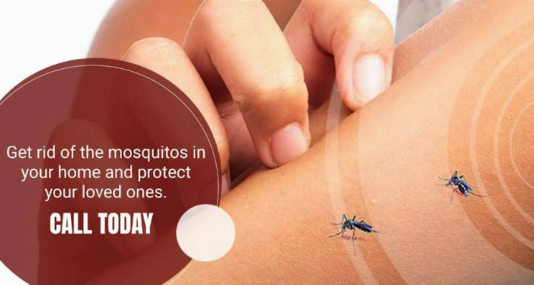 Lifecare Pestcontrol Service