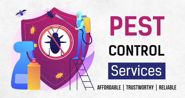 Lifecare Pestcontrol Service
