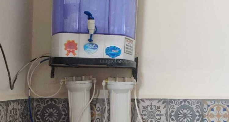 NIVI 91 girls hostel