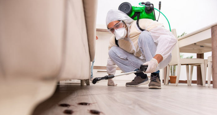 Total pest control expert