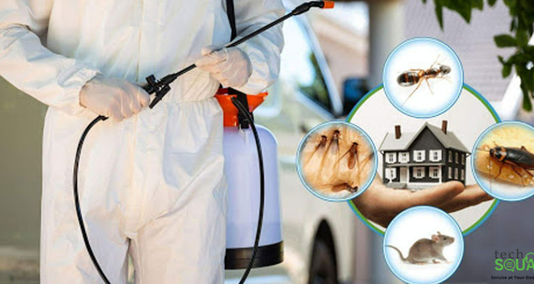Total pest control expert