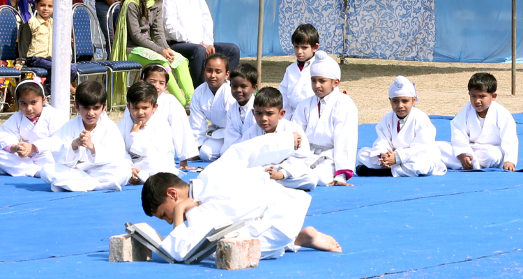 DAV Public School
