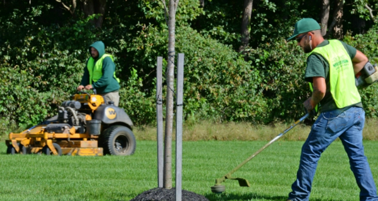 Landscaping Services