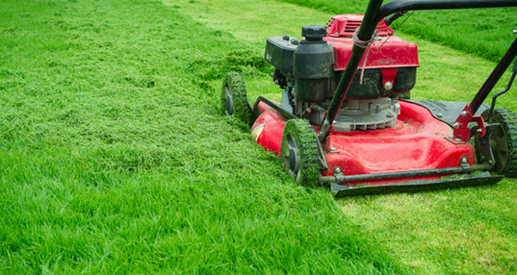Landscaping Services