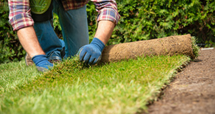 Landscaping Services