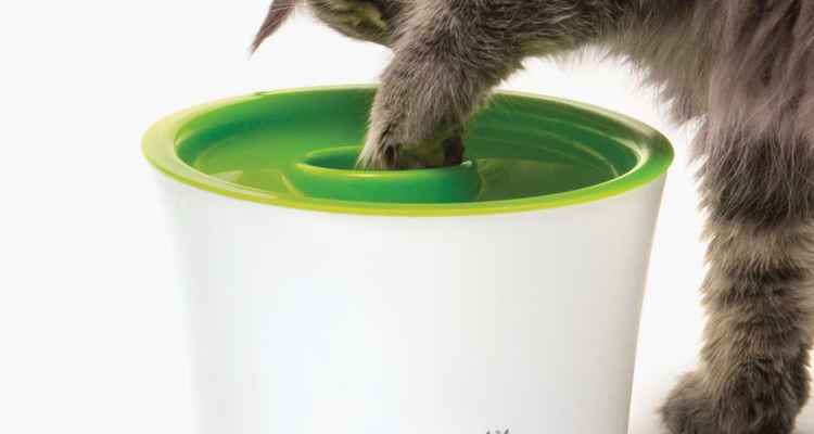 Catit India