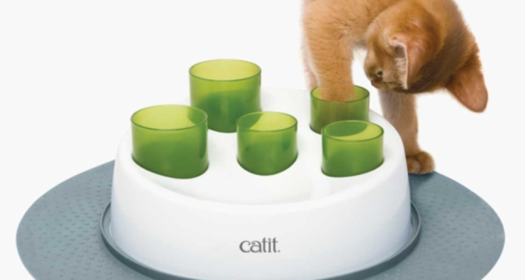 Catit India