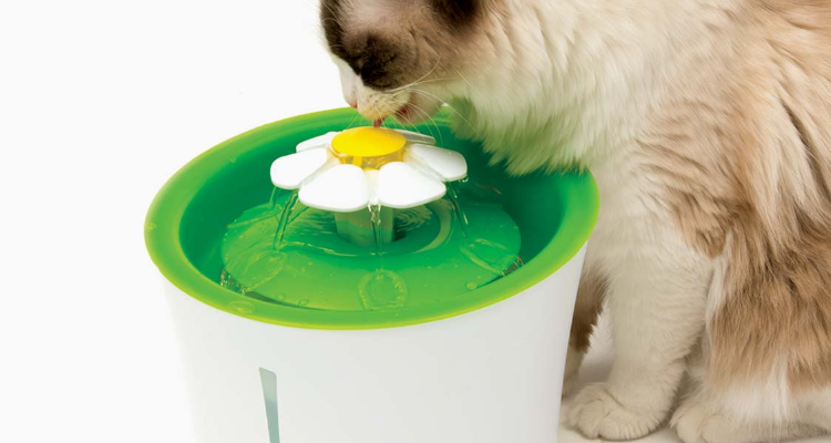 Catit India