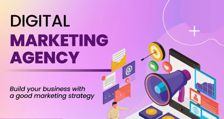 The Web Destiny - Best Digital Marketing Institute in Sri Ganganagar