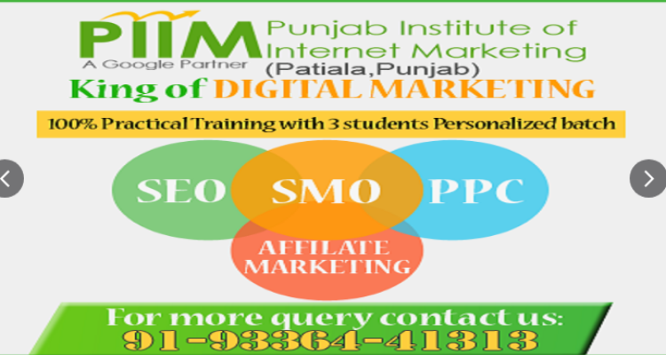 PIIM (Punjab Institute of Internet Marketing)