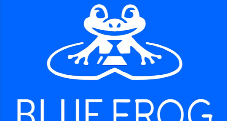 Blue Frog – The Digital Academy | Digital Marketing Courses