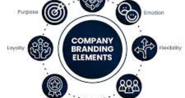 Digiwish | Digital Marketing | Branding | Performance marketing | Agency in Jodhpur