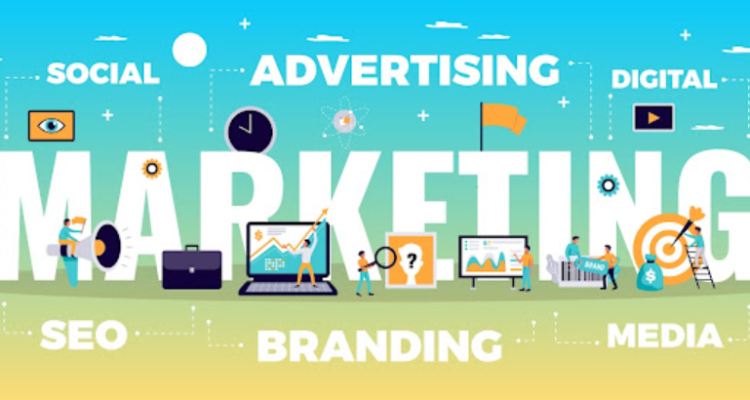Rankofy - A Future Ready Digital Marketing Company In Bhiwani