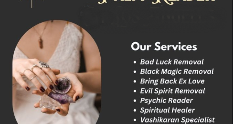 Best Astrologer in India - Giri Raj Shastri