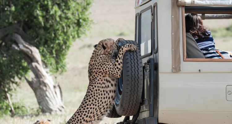 East Africa Group Safari Tour