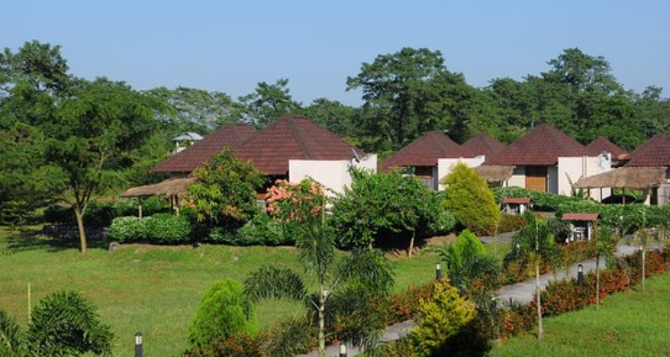 Musa Jungle Retreat