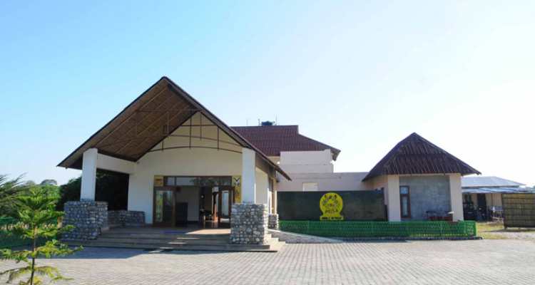 Musa Jungle Retreat