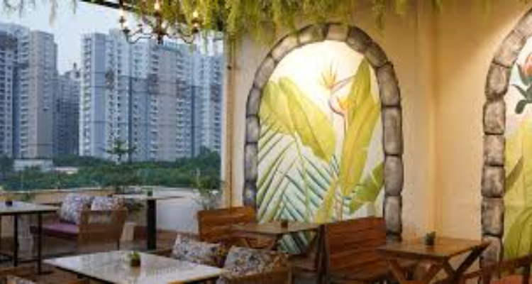 Turtle cafe