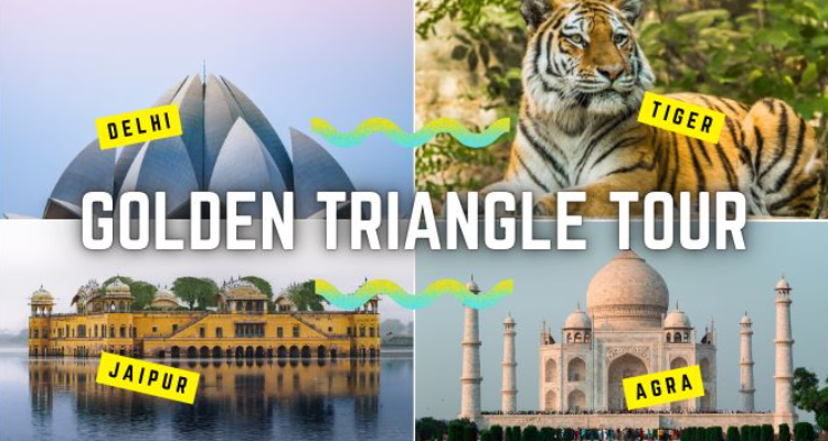 vardhmanvacations