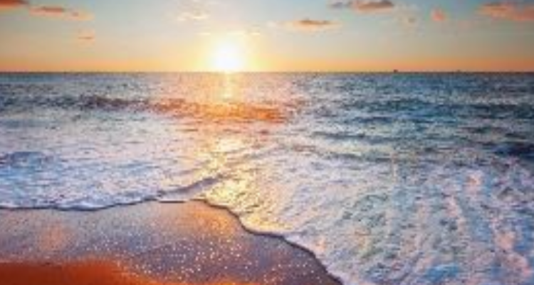 Chennai Tours And Travels