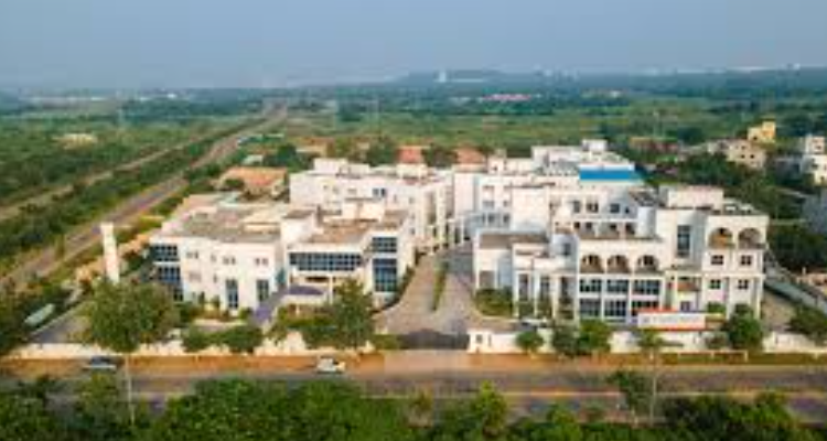 The DN Wisdom Tree Global School
