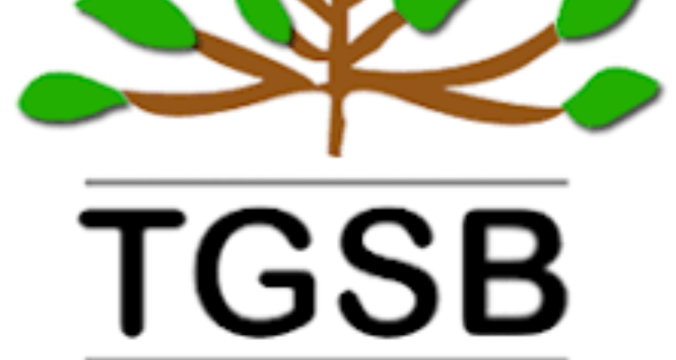 The Green School