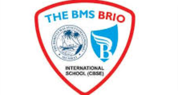 The BMS BRIO