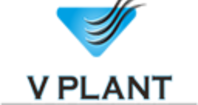v plant hair clinic