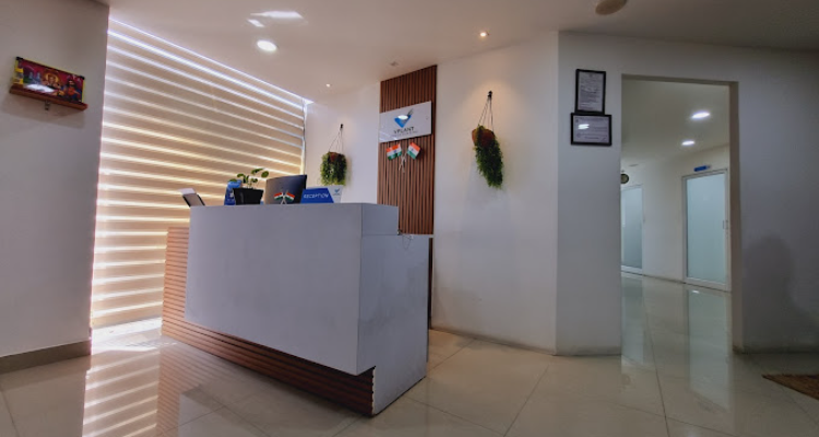 v plant hair clinic