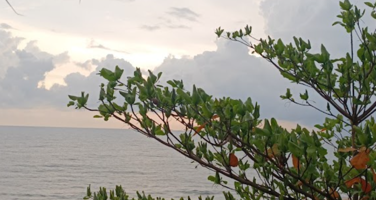 PARVATI VALLEY BEACH RESORT VARKALA