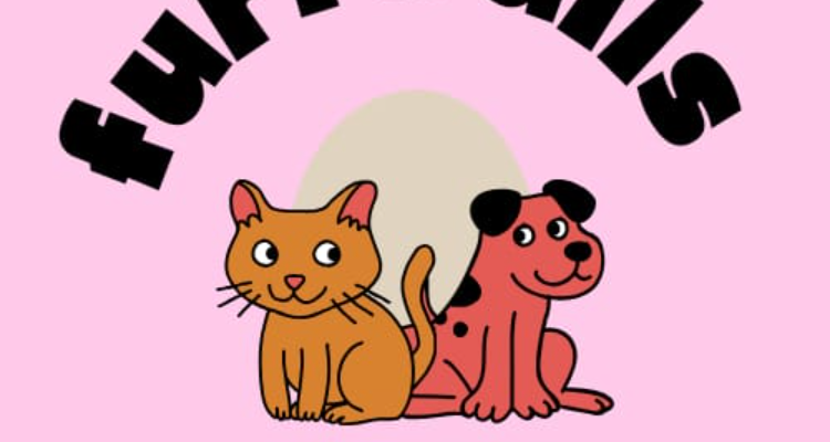 Furrballs Petcare - Grooming Services in Chandigarh tri-city