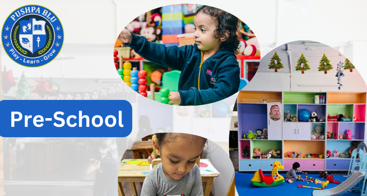 PUSHPA BLU PRE SCHOOL AND DAY CARE CENTRE - Ahmedabad