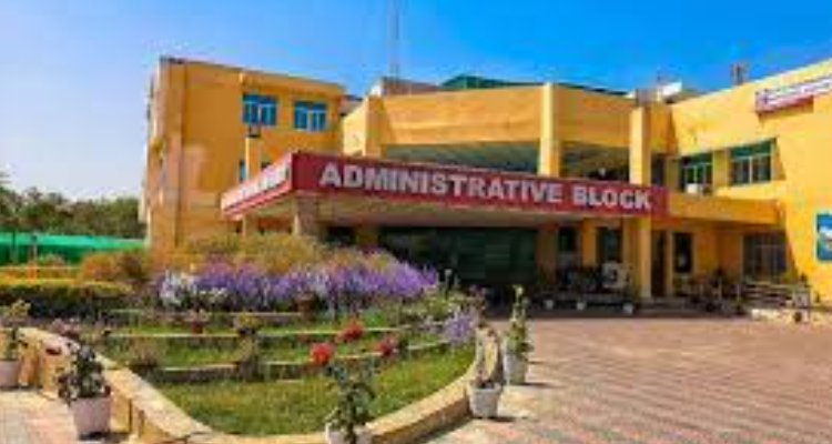 Shri Ramswaroop Memorial University