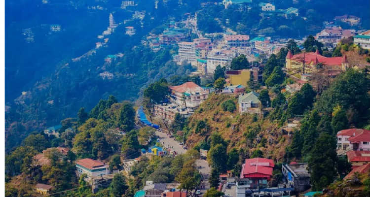 Laxmi Tour and Traveling Service
