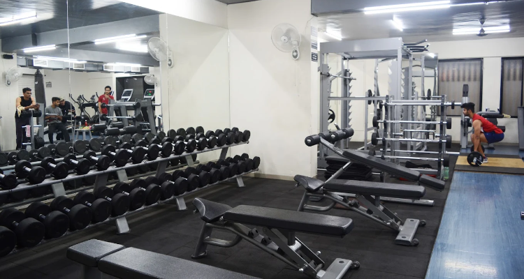 Thor Fitness