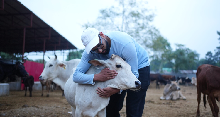 Doon Animal Welfare