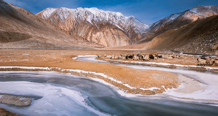 Ladakh Taxi Service