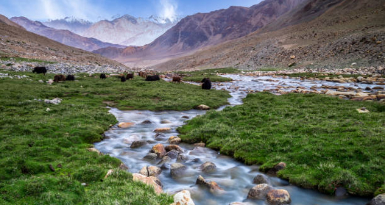 Nubra Valley Taxi