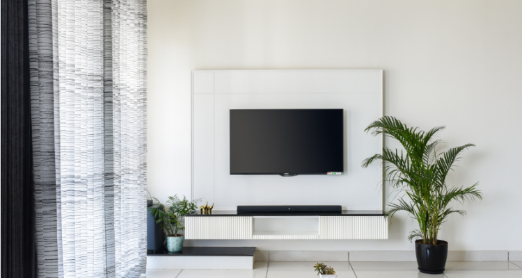Studio 3D plus 1