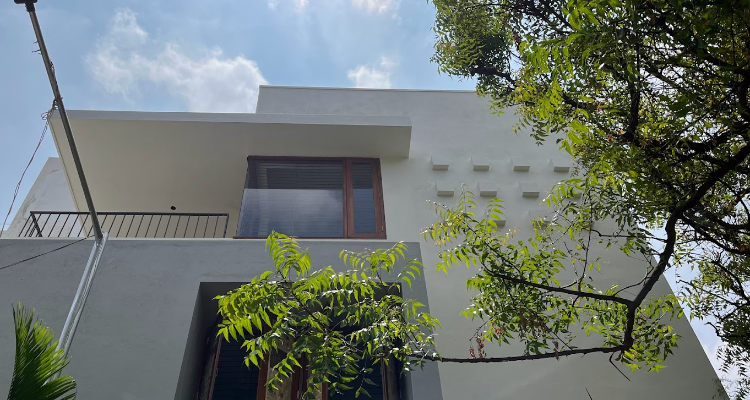 Avani Shah Design Co.