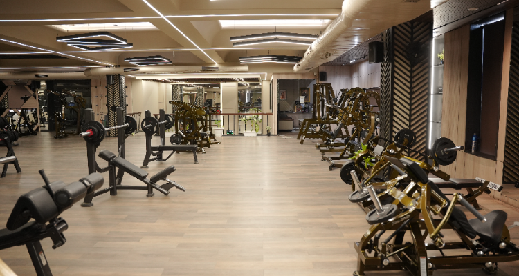 The Big 4 Gym