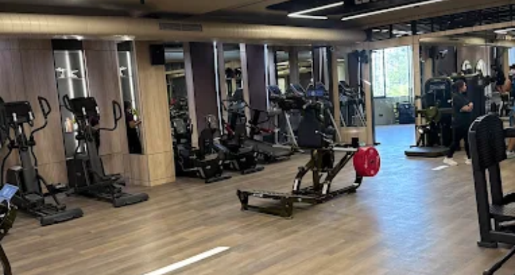 The Big 4 Gym