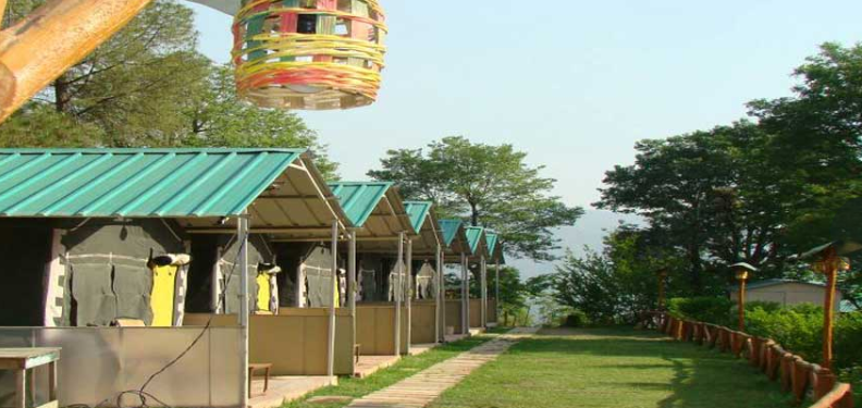 Red wood camp shimla | best luxury camp in shimla