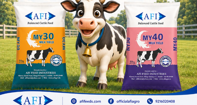 Best Feed Brand in Khanna. Trusted as the No. 1 Feed in India