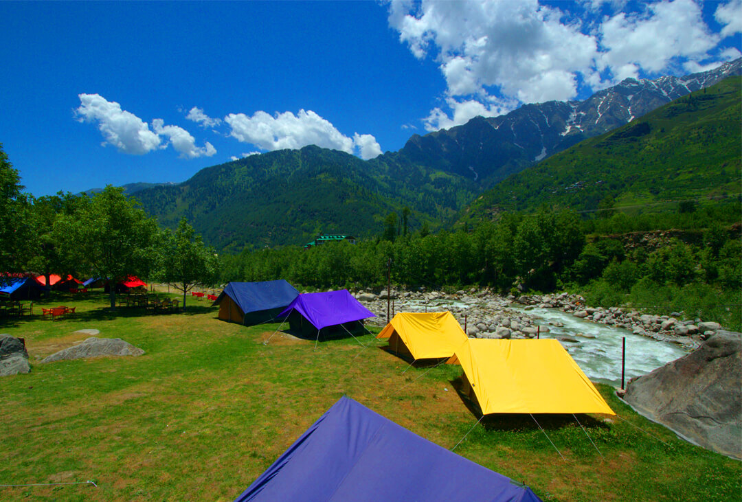 camp 21  I luxury camp in manali