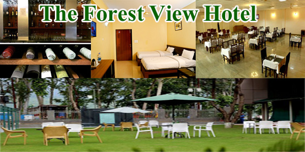 The Forest View Hotel 