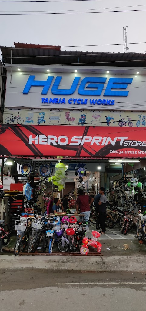 Taneja cycle works